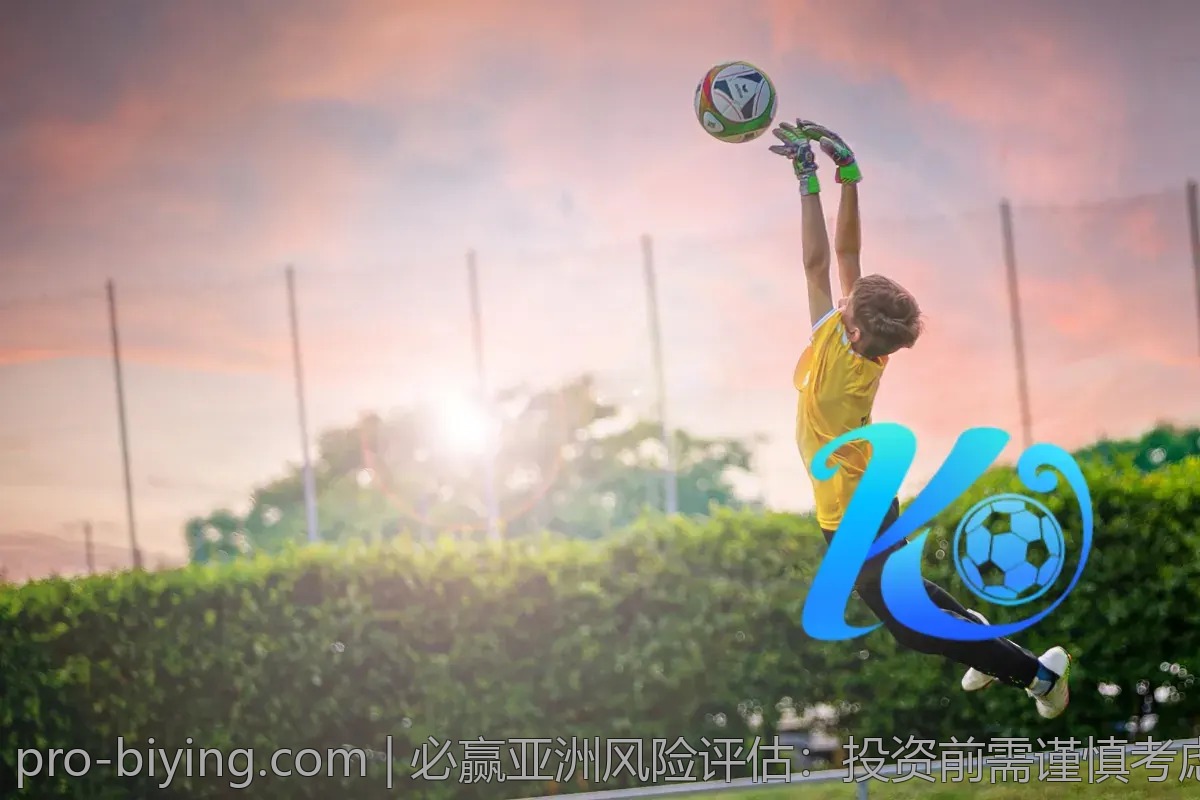 必赢亚洲风险评估：投资前需谨慎考虑的关键因素