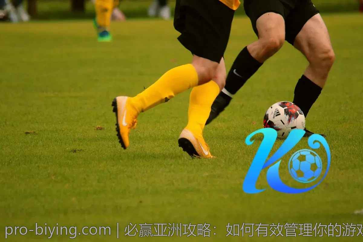 必赢亚洲攻略：如何有效管理你的游戏资产和资源