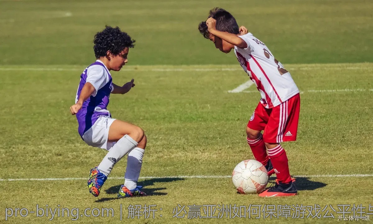 解析：必赢亚洲如何保障游戏公平性与诚信