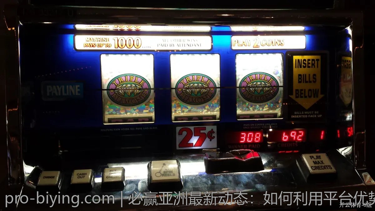 必赢亚洲风险评估：投资前需谨慎考虑的关键因素