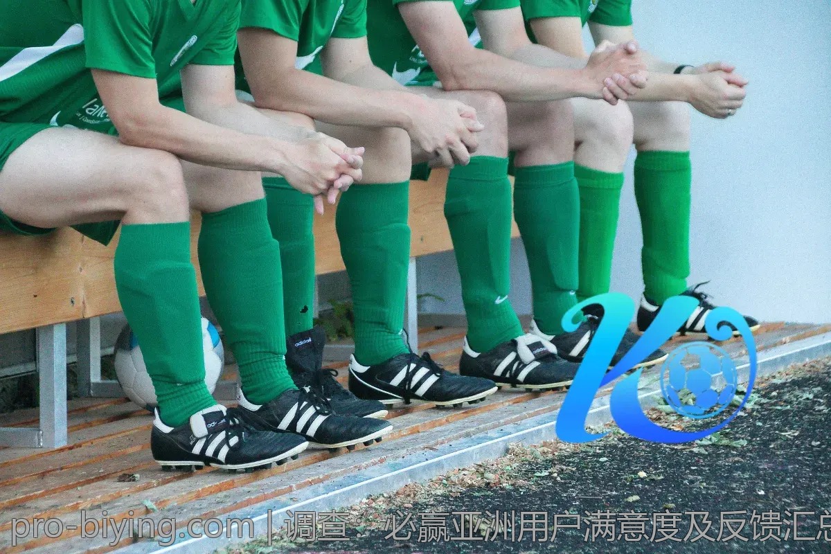 调查:必赢亚洲用户满意度及反馈汇总