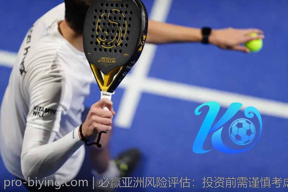 必赢亚洲风险评估：投资前需谨慎考虑的关键因素