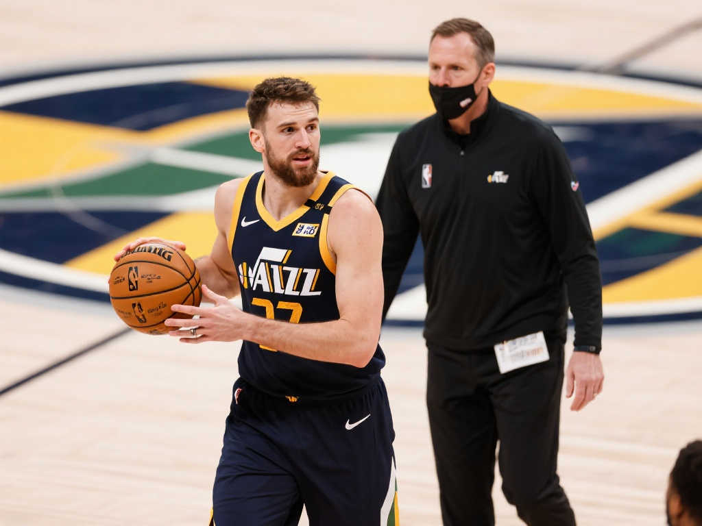 的主要目标 的主要目标