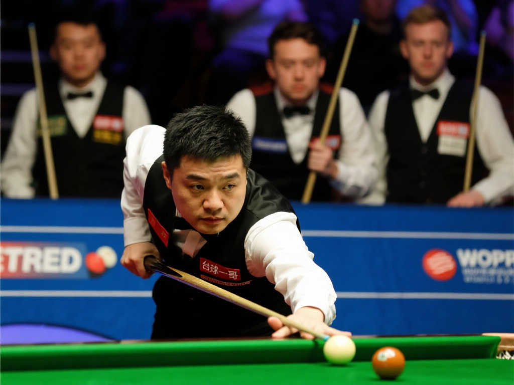 豪的带领下 豪的带领下